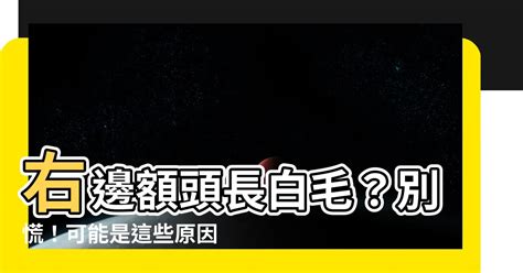 右邊額頭長白毛|【額頭長白毛可以拔嗎】額頭發現白毛長不停！好運還是厄運？小。